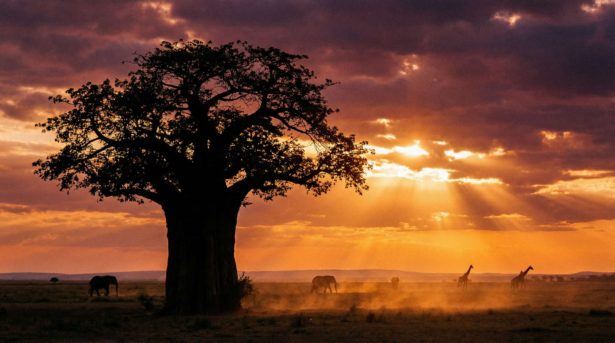 African spiritual landscape representing ancient love magic traditions
